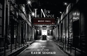 Affiche pour le One Man Show : The New Spot